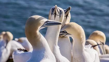 九游体育官网_ 德甲主帅大换血，战术风格迎来新变革，九游游戏中心首页