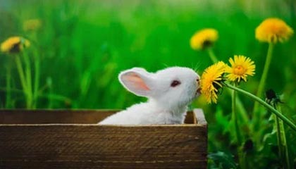 九游JIUYOU SPORTS_ “一带一路”足球合作不断深化，推动中国足球国际交流