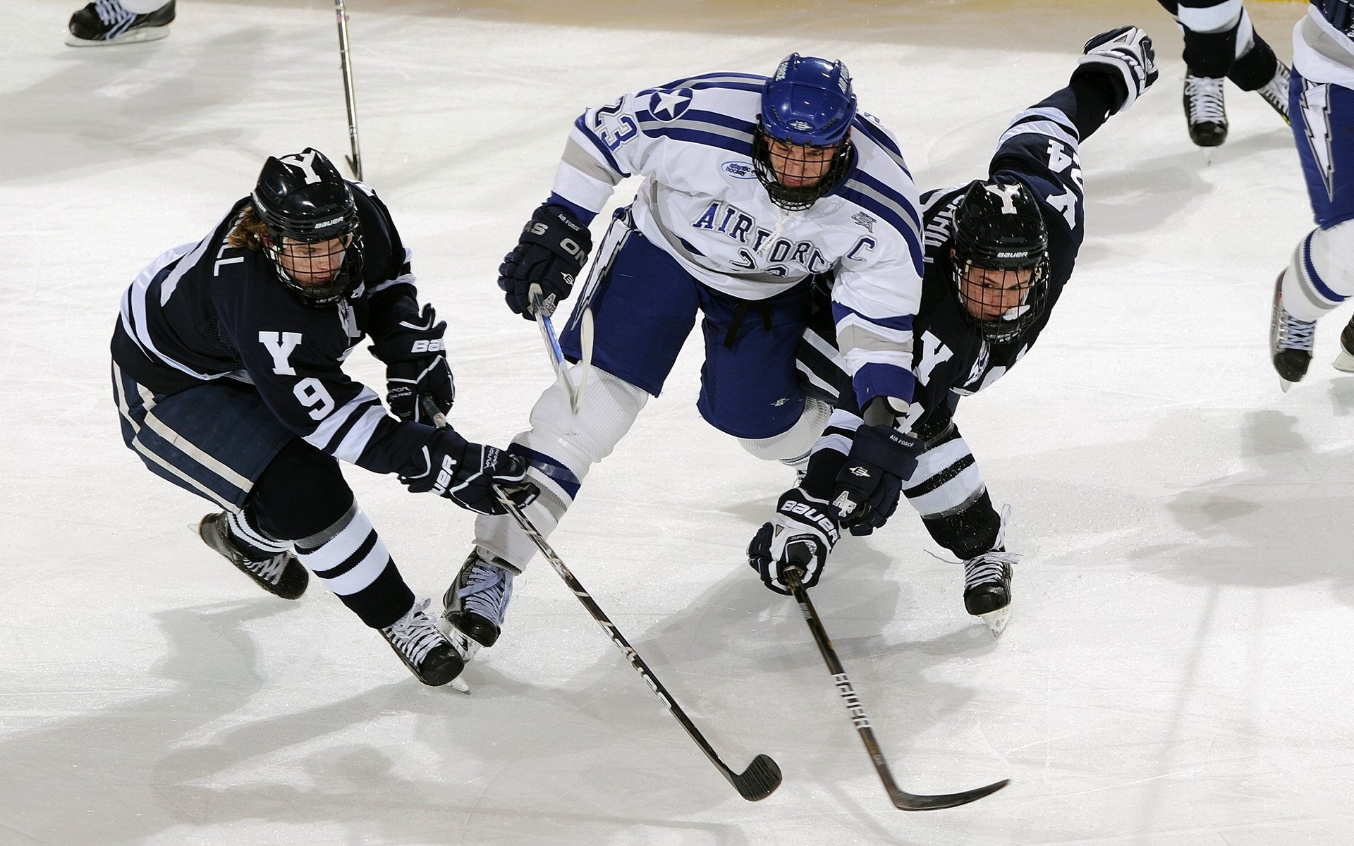 德甲推出全新观众体验套餐，推动足球文化多元发展，德甲表演赛