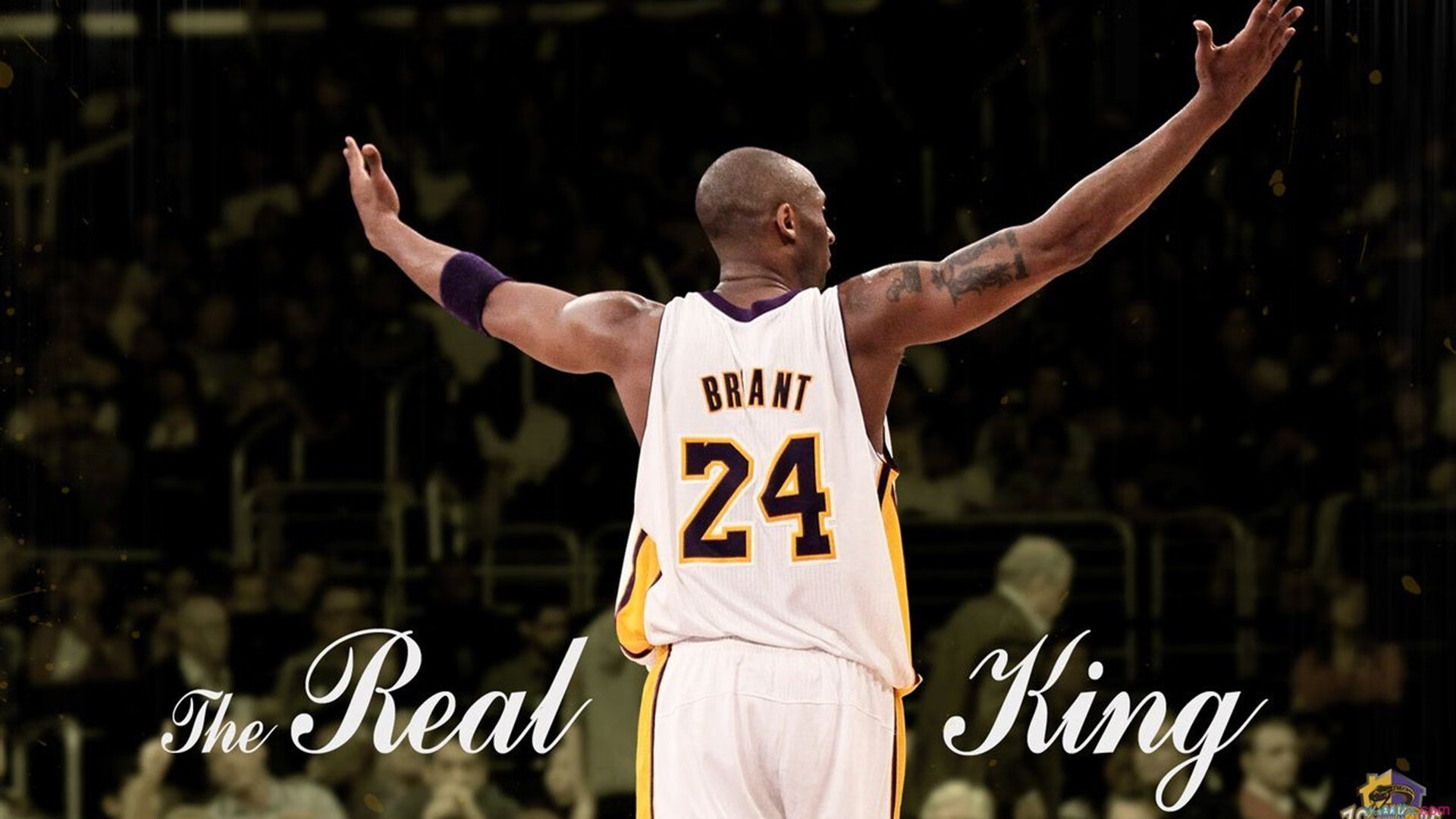 车队分析：技术细节如何左右比赛走向？，赛车的左右